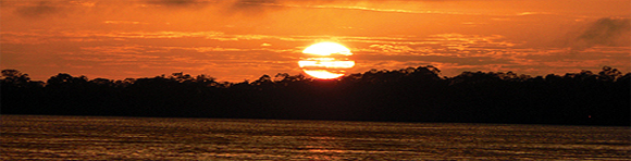 bannerAmazonia