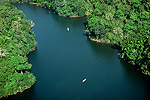Floresta Manaus - Amazonas