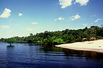 Floresta Manaus - Amazonas