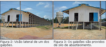 Vis&atilde;o lateral e silo de abastecimento dos galp&otilde;es.